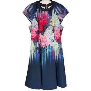 Ted Baker Floral Stripe Dress TB 4 US 10 Fit Flare Skater Scuba Sew in Love EUC